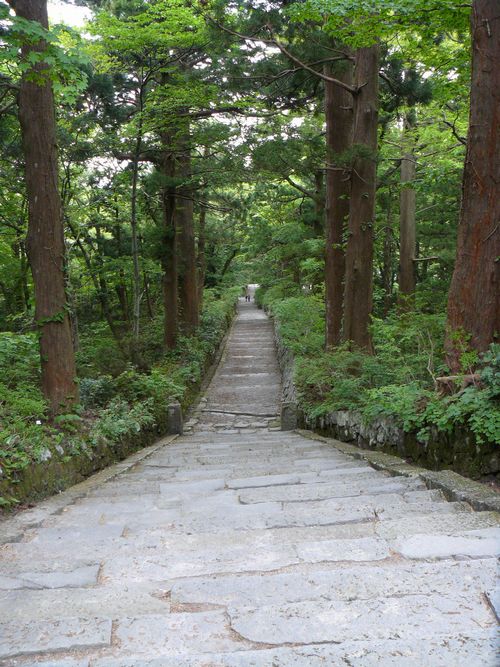 ��R������ɓ�