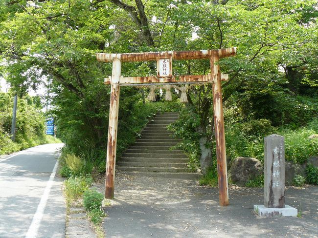 �؃m���_��