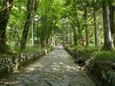 大神山神社奥宮鳥居が遠くに見える緑のトンネル