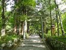 大神山神社奥宮長々と続く石畳みと要所に配されている鳥居