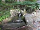 大神山神社奥宮参道に流れる清水でのどを潤す