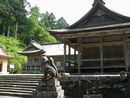 大神山神社奥宮狛狐から見る社殿（拝殿・幣殿・本殿）