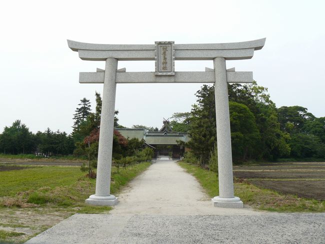 �ቮ���_��