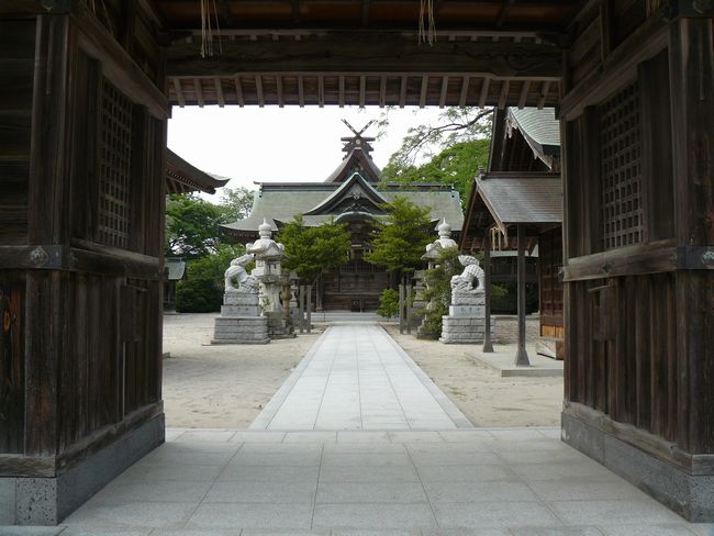 �ቮ���_��