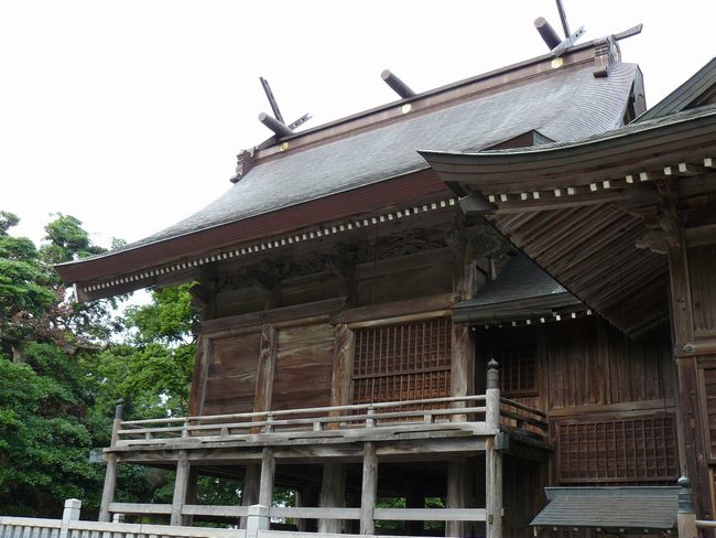 �ቮ���_��