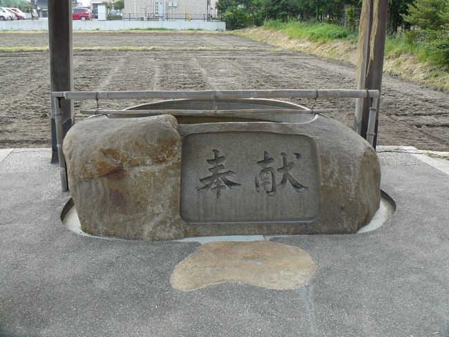 �ቮ���_��