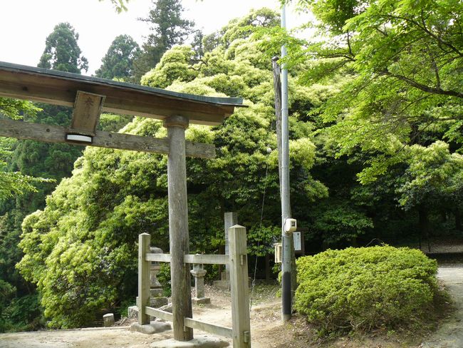 ���˂̑�V�C