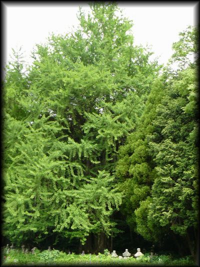 �������C�`���E