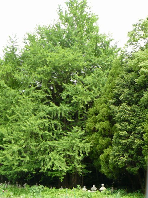 �������C�`���E