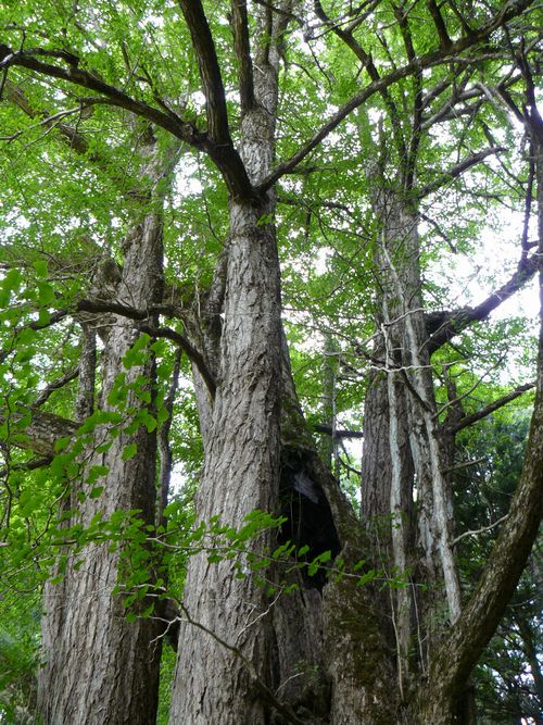 �������C�`���E