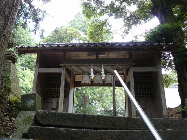 �g�g��_��