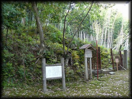 �O�����Õ�