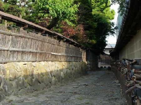 �Ő��ʐ�i�q�g�s�E���ƒ��j