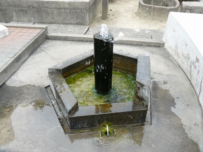 �g������