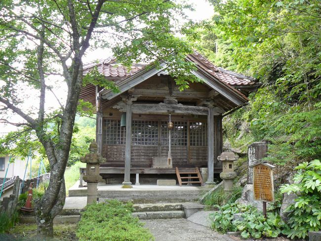 �g������