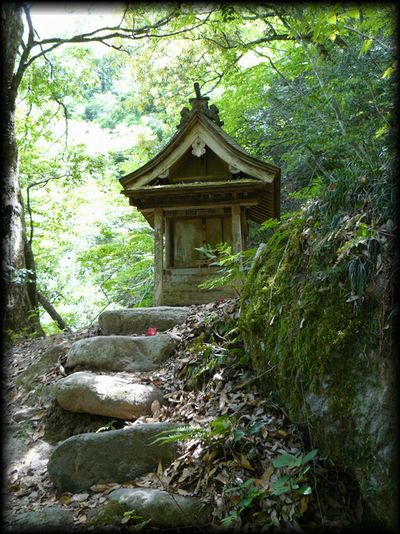 �\��ʊω���