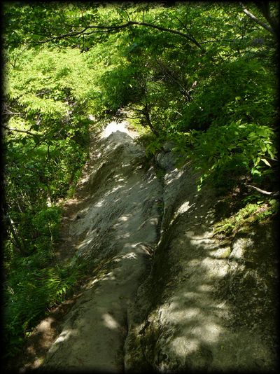 �n�̔w�E���̔w