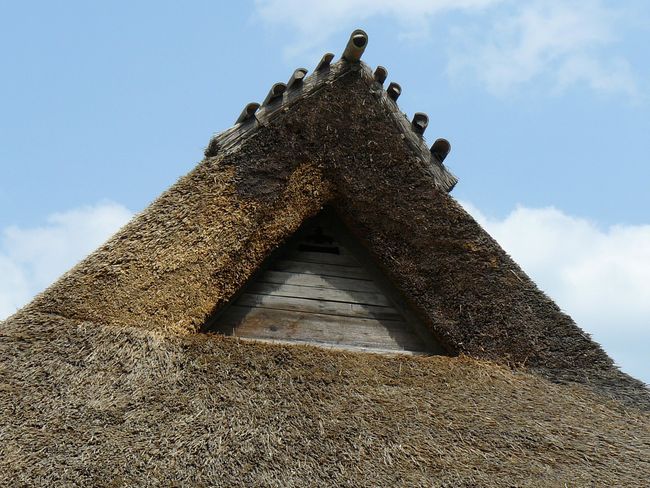 �����ƏZ��