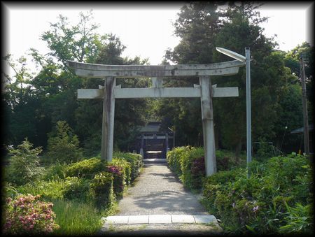 ���m��_��