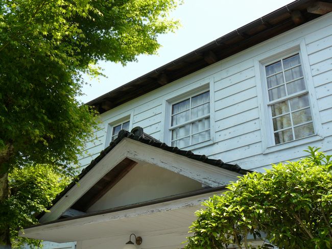 ����������