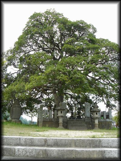 �g��o�ƌ��揊