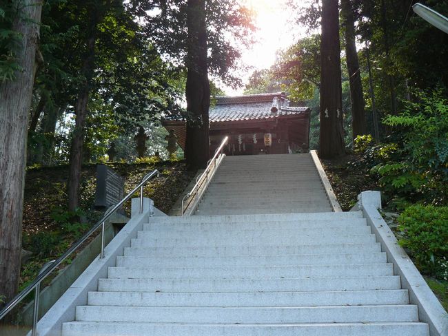 ���g�_��