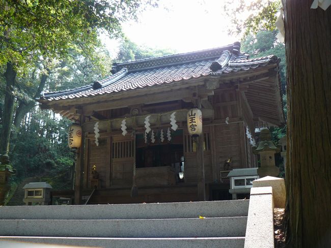 ���g�_��