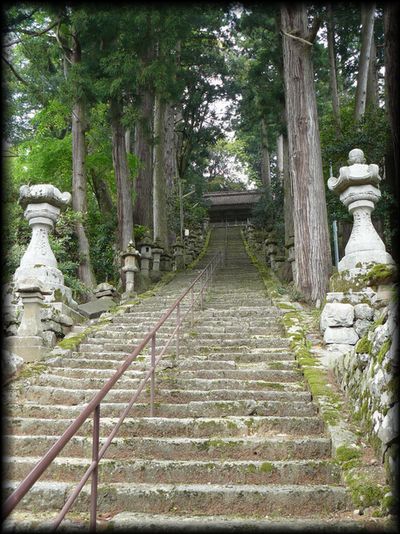 摩尼寺参道石段と石燈篭、長い参道は嫌でも歴史の重さが感じられます