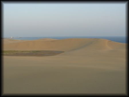 鳥取砂丘を撮影した画像