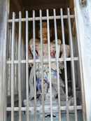 �i�����R��