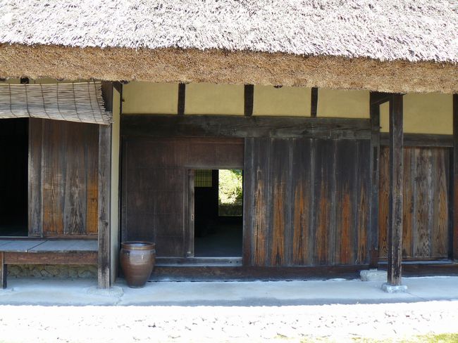 �O�S�c���Z��