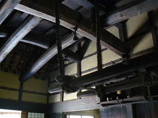 �O�S�c���Z��