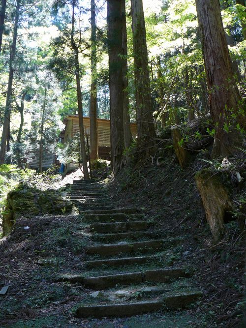 ����ٍ��V