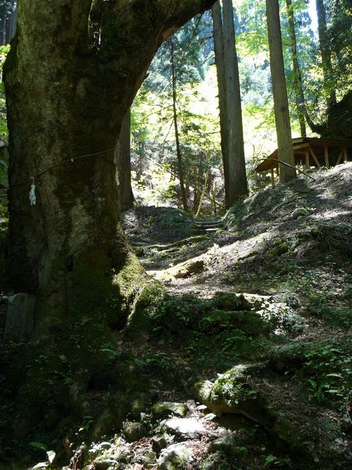 ����ٍ��V