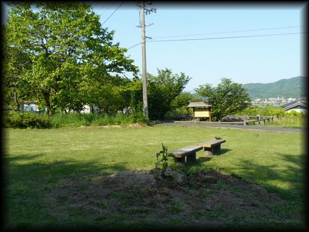 �y�t�S��p����