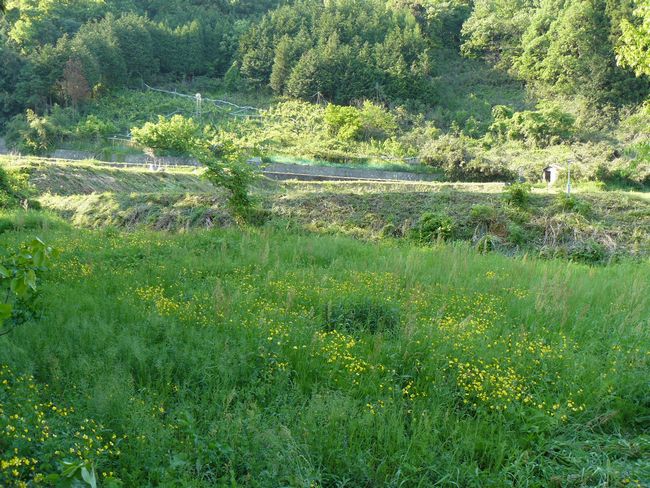 �y�t�S��p����