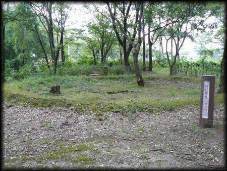 �؈�Ղ��B�e�����摜