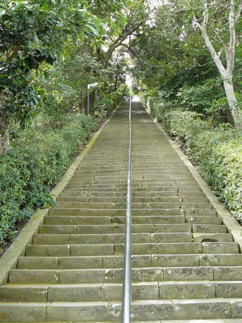 �����_��