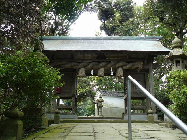 �����_��