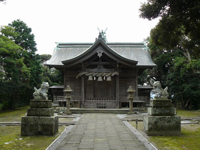 �����_��