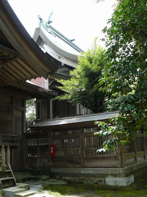 �����_��