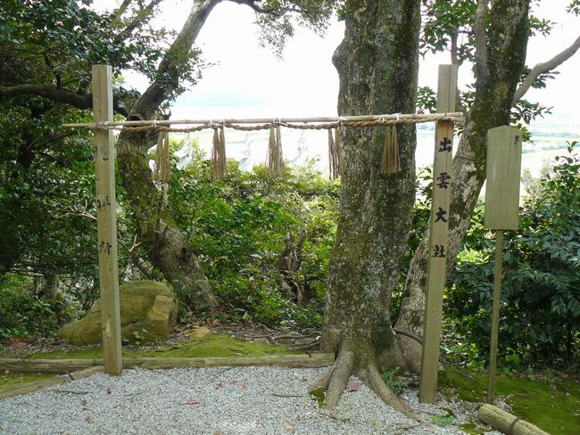 �����_��