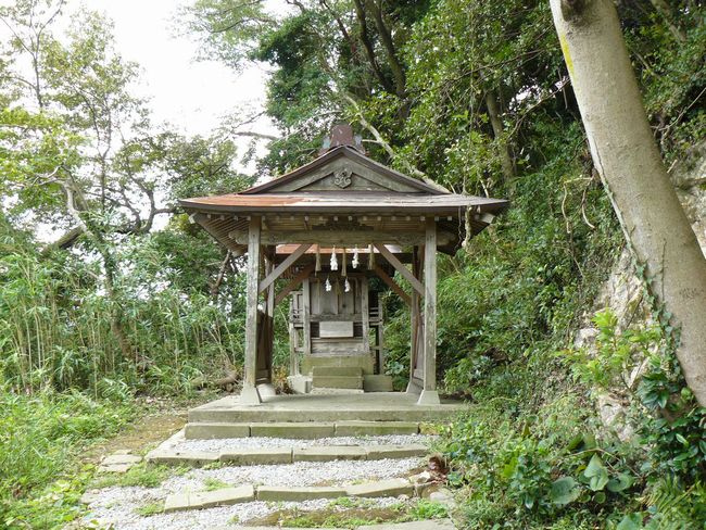 �����_��