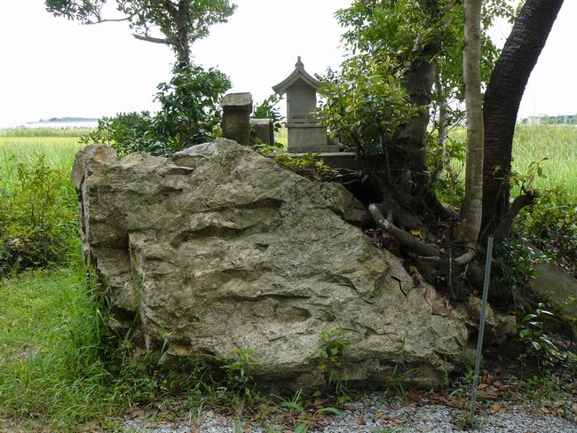 �����_��