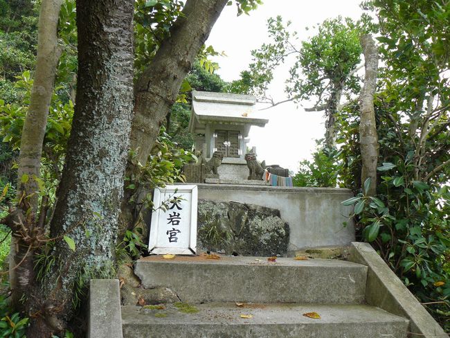 �����_��