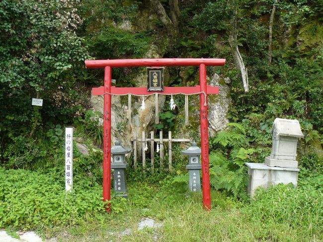 �����_��