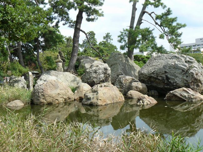 ��������