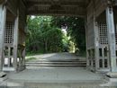 倭文神社随身門から見た参道
