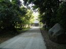 倭文神社参道沿いの社叢と巨石
