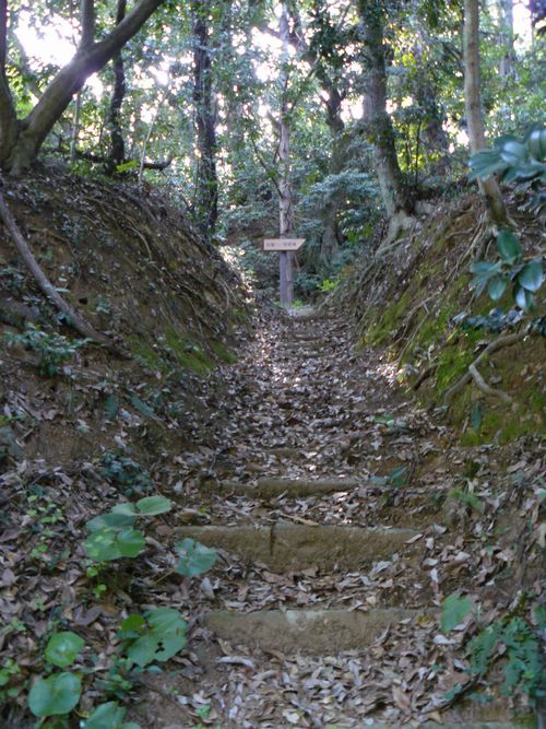 ���ˈ�{�o��